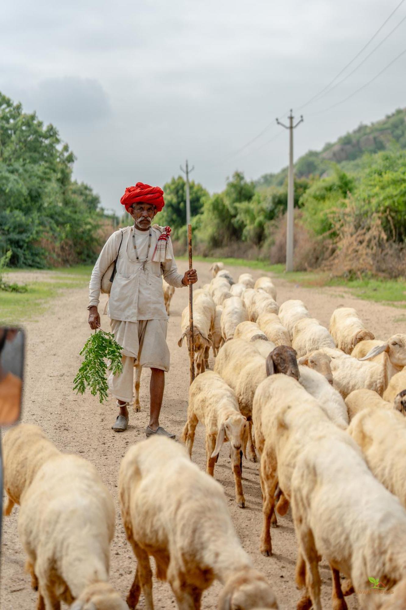 Jawai Greens Jawai Bandh Экстерьер фото
