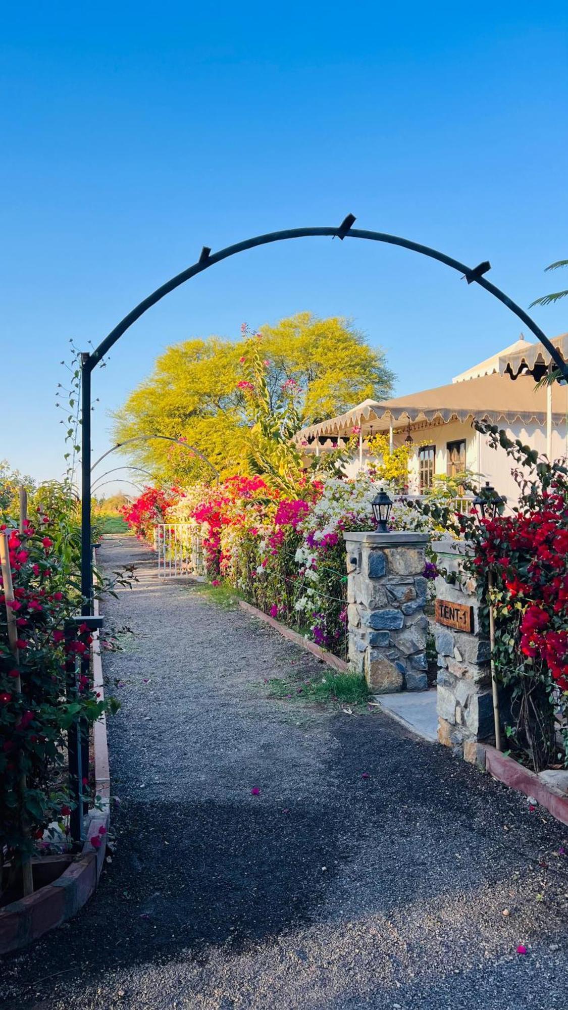 Jawai Greens Jawai Bandh Экстерьер фото